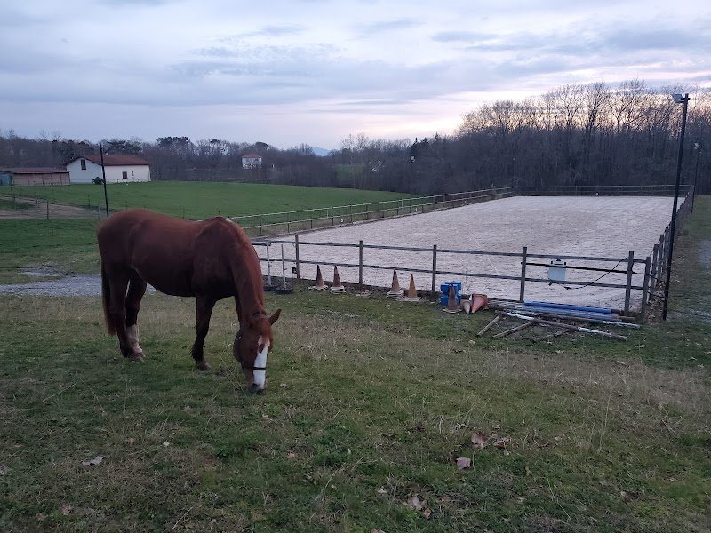 L'Ecurie Active du Puyos - photo 2