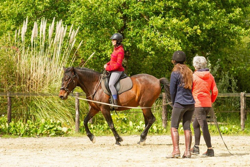 Pension de chevaux de la grande lande - photo 3