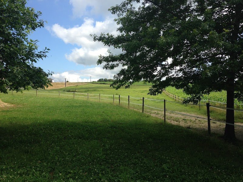 La pension du Bidouret - photo 1