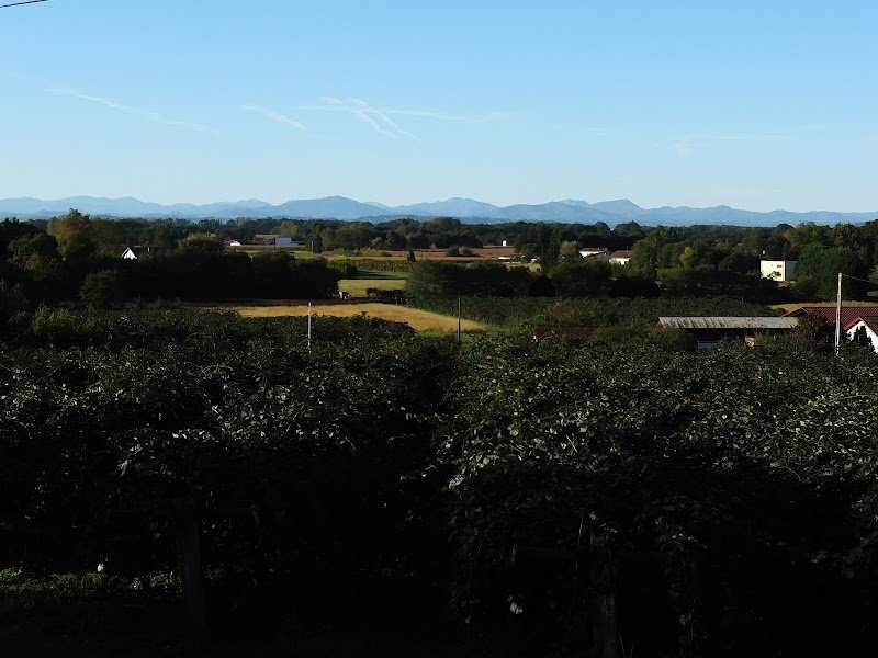 La pension du Bidouret - photo 2