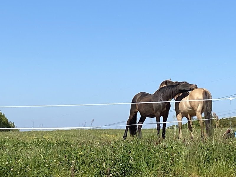 La pension du Bidouret - photo 3