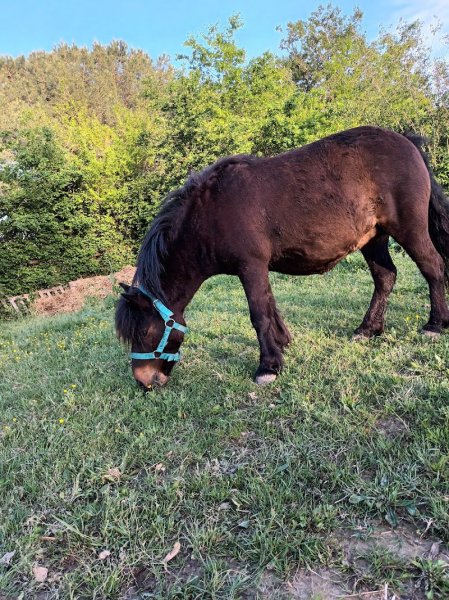 Les ecuries de Saint Aubin