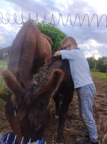 Les ecuries de Saint Aubin - photo 2