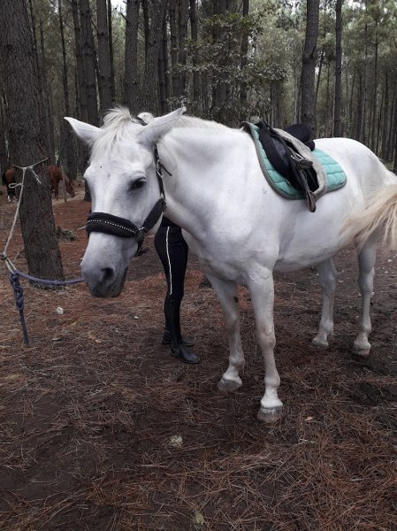 Centre Equestre des Balzanes - photo 3