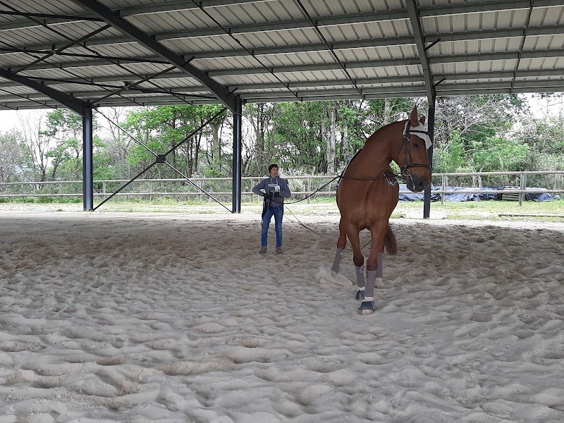 Le Massey-écurie propriétaire