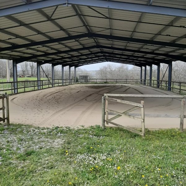 Le Massey-écurie propriétaire - photo 2