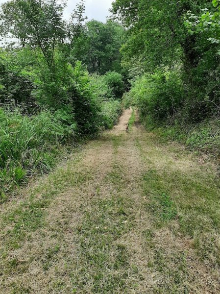 Le Massey-écurie propriétaire - photo 3