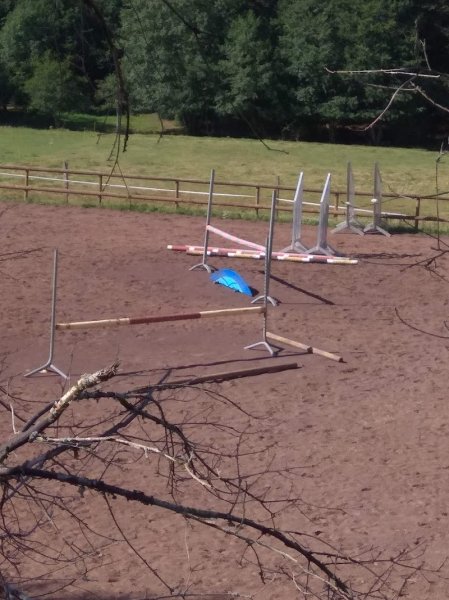 écuries de la grange - photo 3