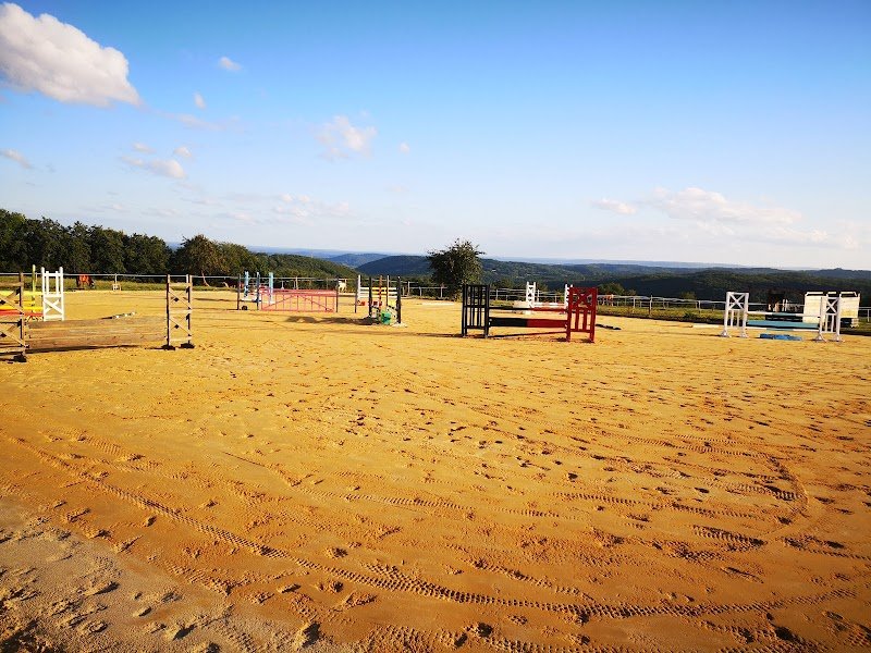 Les écuries MD Pension Commerce Valorisation Débourrage
