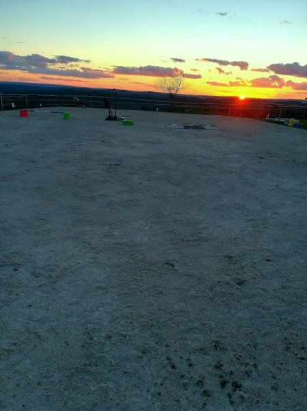 Les écuries MD Pension Commerce Valorisation Débourrage - photo 2