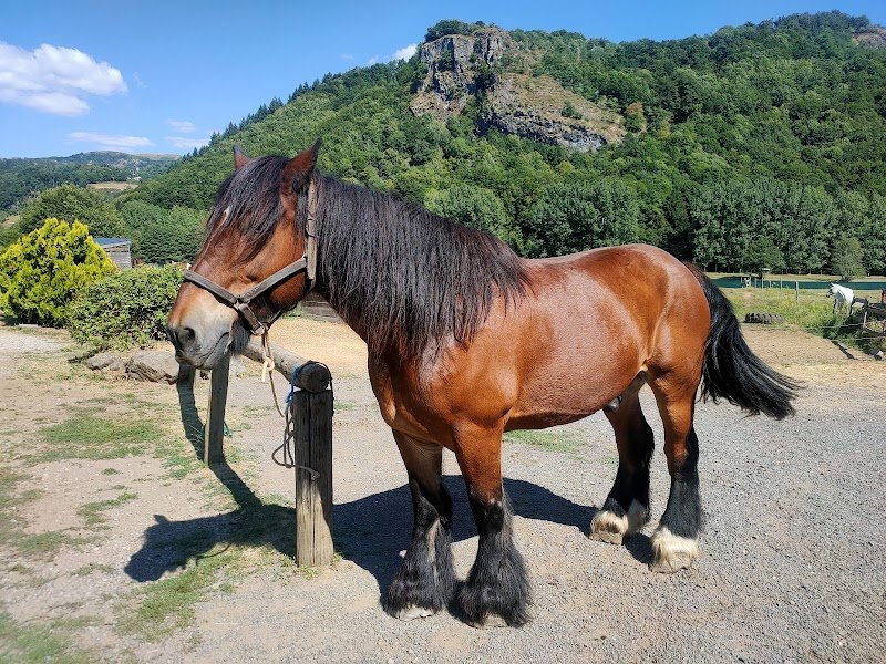 Centre Equestre CantaL' EquiLibre - photo 2