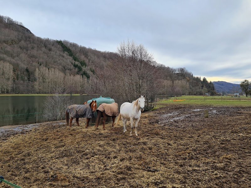 Centre Equestre CantaL' EquiLibre - photo 3