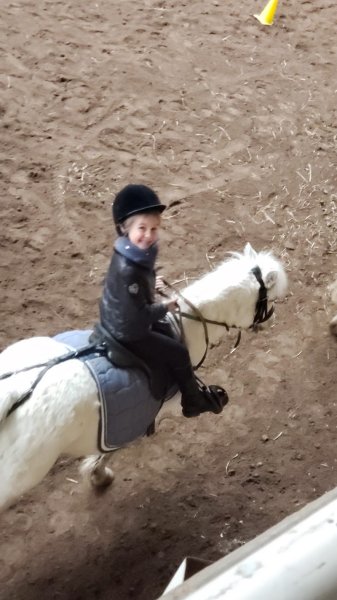 Ecurie D'Arlequin - photo 3