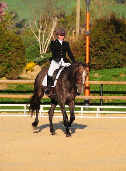 Écurie de Combeneyre - photo 2