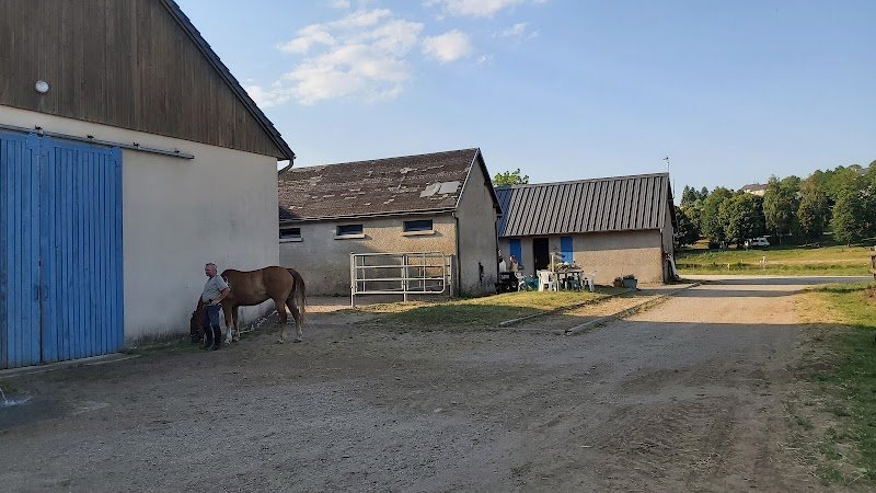 Cheval Nature Détente