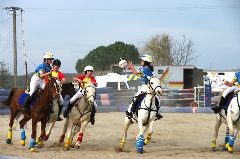 FERME EQUESTRE DU BADOUR - photo 1