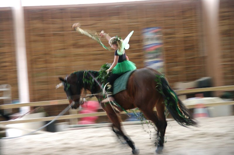 FERME EQUESTRE DU BADOUR - photo 3