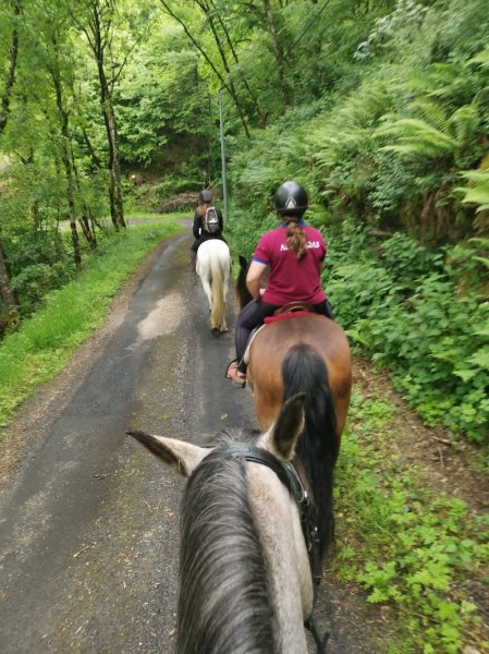 Les écuries du Bos - photo 2