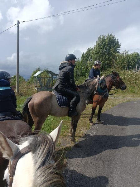Les écuries du Bos - photo 3