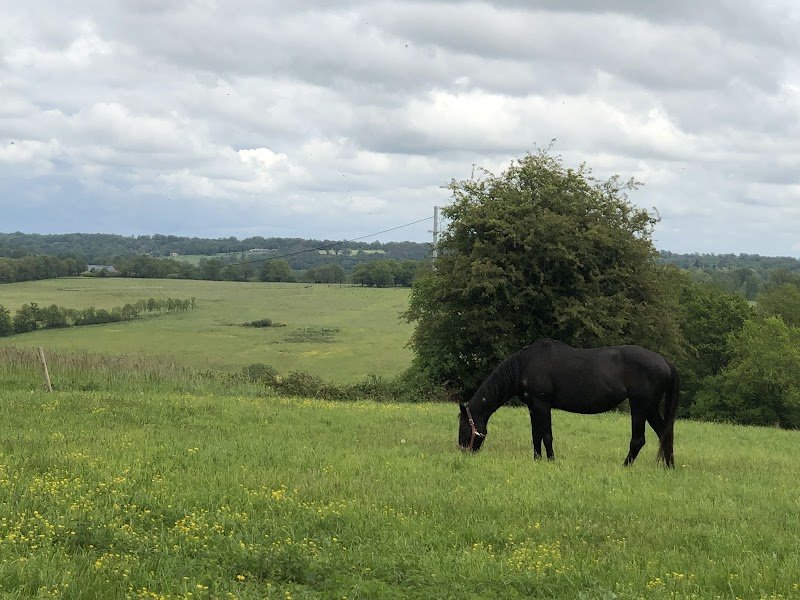 La Ferme de Pirata (Horse resort & refuge)