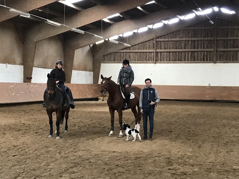 Elevage De Texonnieras ( Pension Équestre et Écurie de propriétaires) - photo 2