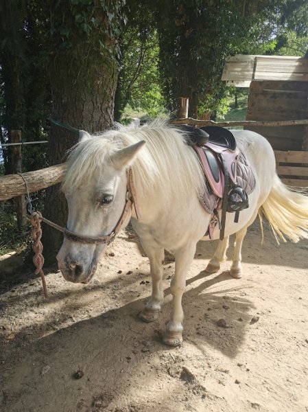 FERME EQUESTRE DE CANTALES - photo 2