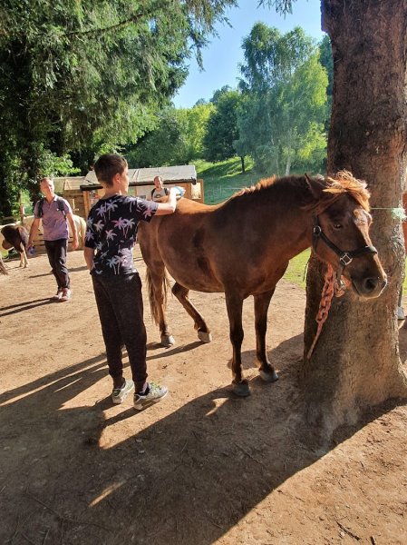FERME EQUESTRE DE CANTALES - photo 3