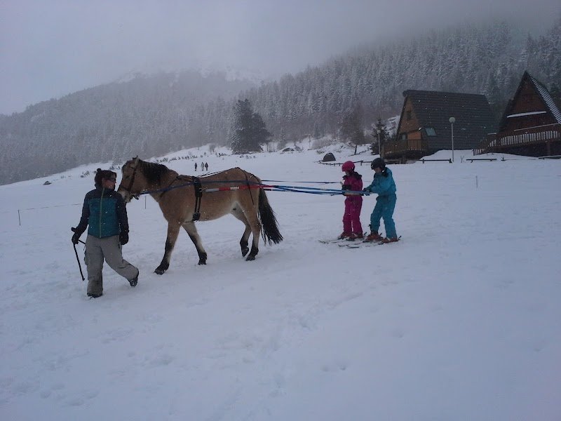 ferme equestre de l'alagnon - photo 2