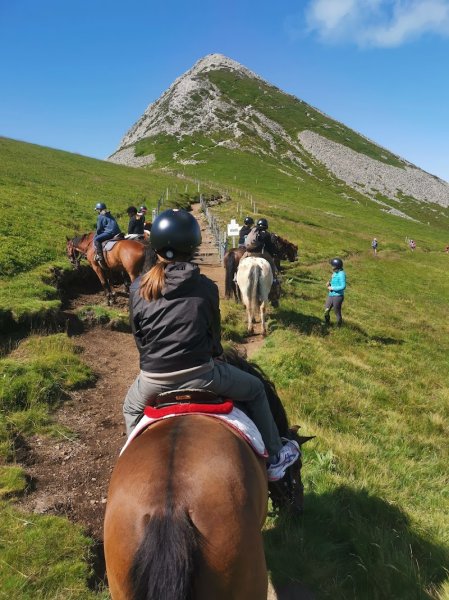 ferme equestre de l'alagnon - photo 3