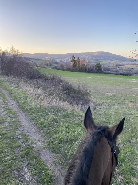 ecurie de la jonchere - photo 2
