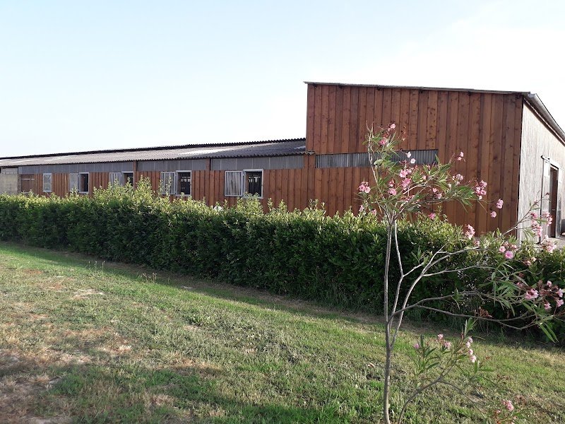 Ecurie des Barreyrous - photo 1