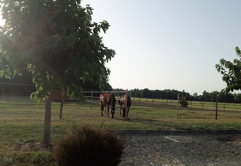 Ecurie des Barreyrous - photo 2