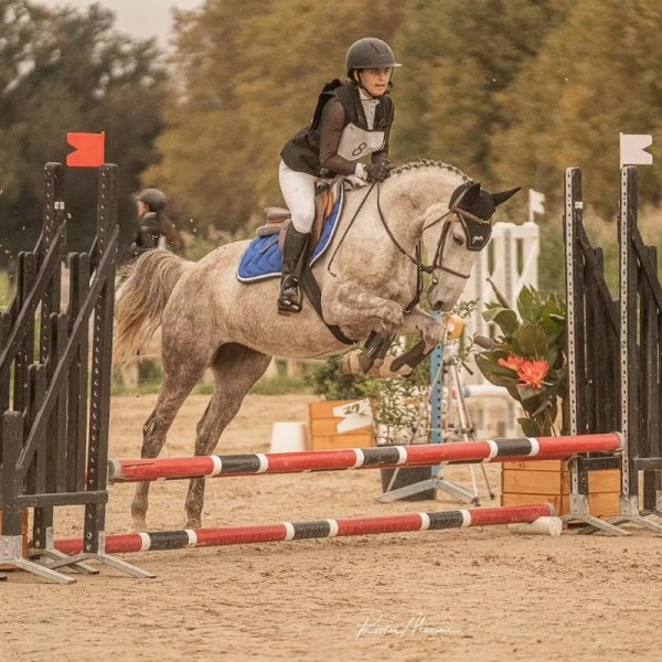 Les écuries de Monplo - photo 1