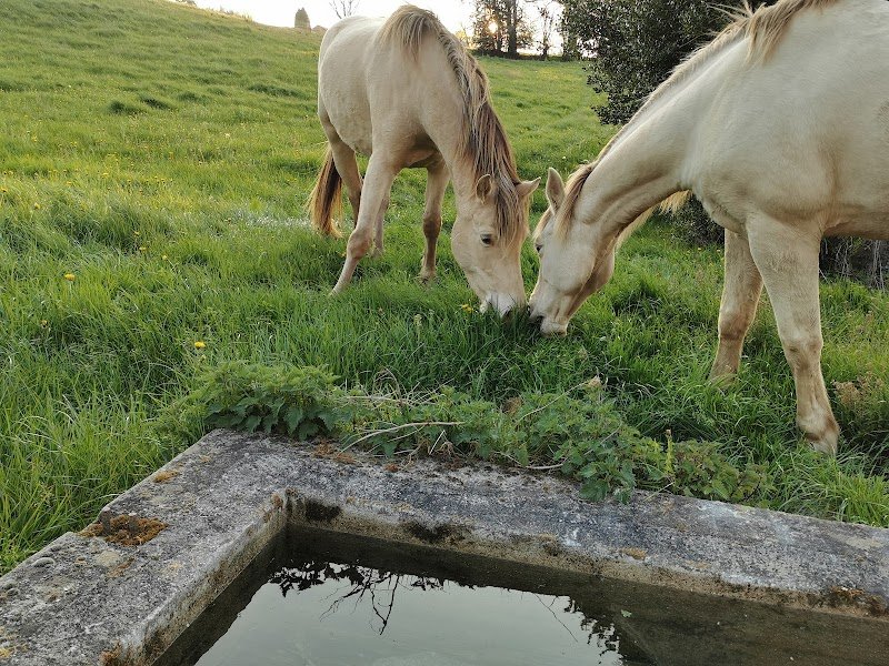 Les Écuries de Montgibaud - photo 1