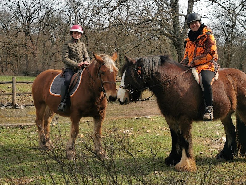 Le Boisset Plus - LES AJT écurie de propriétaires - Equicoaching 82 - Formations