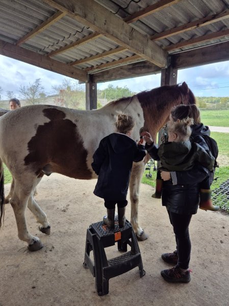 Le Boisset Plus - LES AJT écurie de propriétaires - Equicoaching 82 - Formations - photo 2