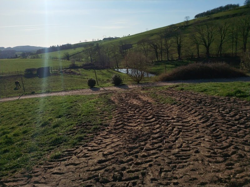 écuries du boisset - photo 2
