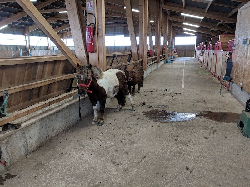 Centre équestre de la Planèze - photo 1