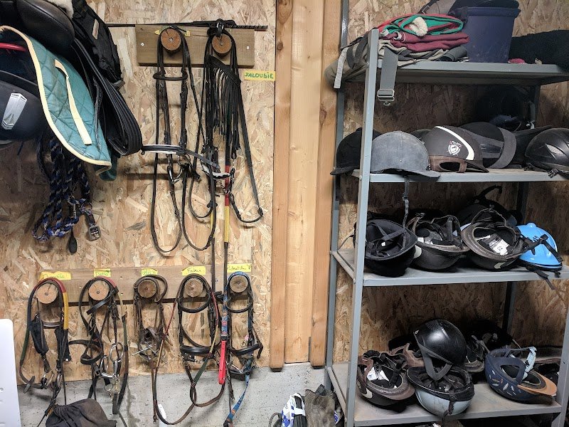 Centre équestre de la Planèze - photo 2