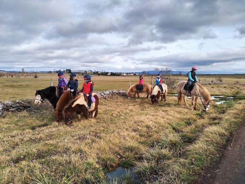 Centre équestre de la Planèze - photo 3