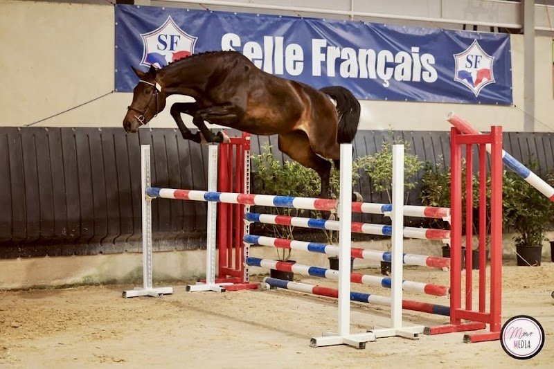 Pôle Équestre de l’Aubrac - photo 3