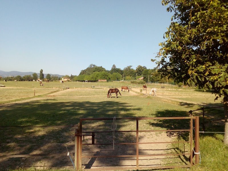 Poney Club de Villedieu - photo 3