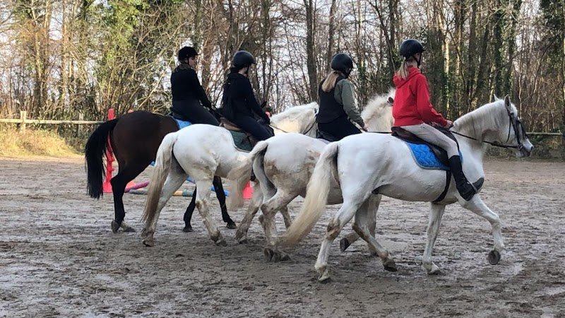 Écuries La Villedieu - photo 2