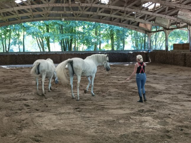 Écuries La Villedieu - photo 3