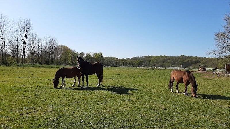 Pension de la Licorne - photo 1