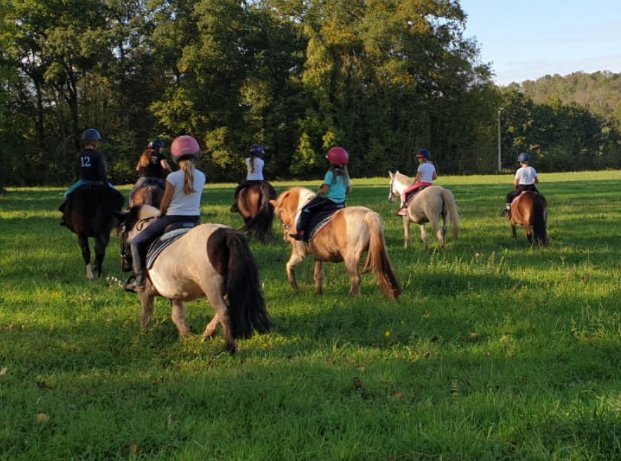 Pension de la Licorne - photo 2