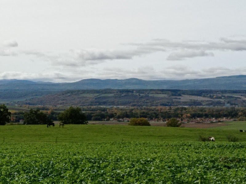 Ecurie de Propriétaire Ecurie Cyrano