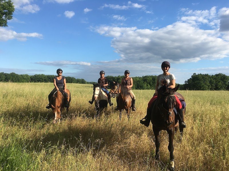 Écurie de morin - pension pré en troupeau - photo 2