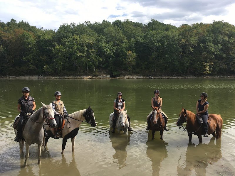 Écurie de morin - pension pré en troupeau - photo 3