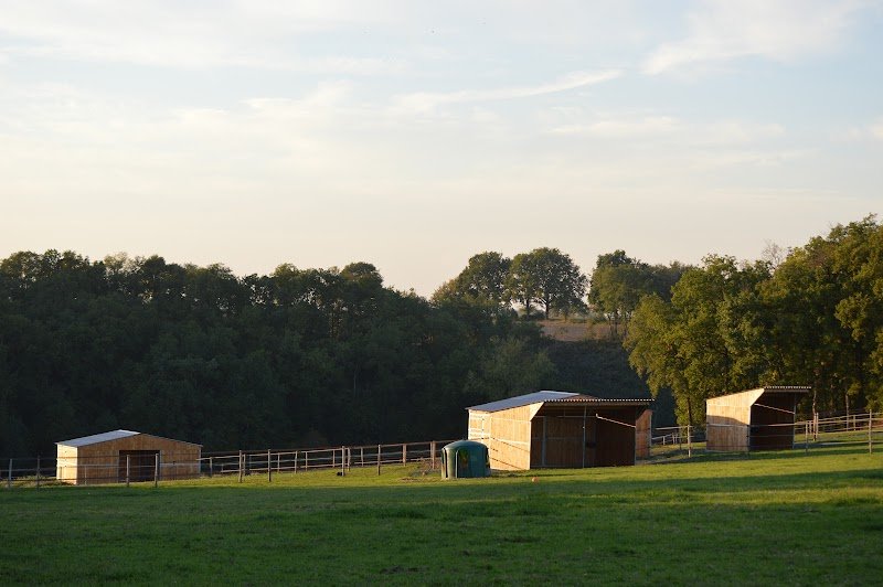 Ecurie du Pialoux - photo 1